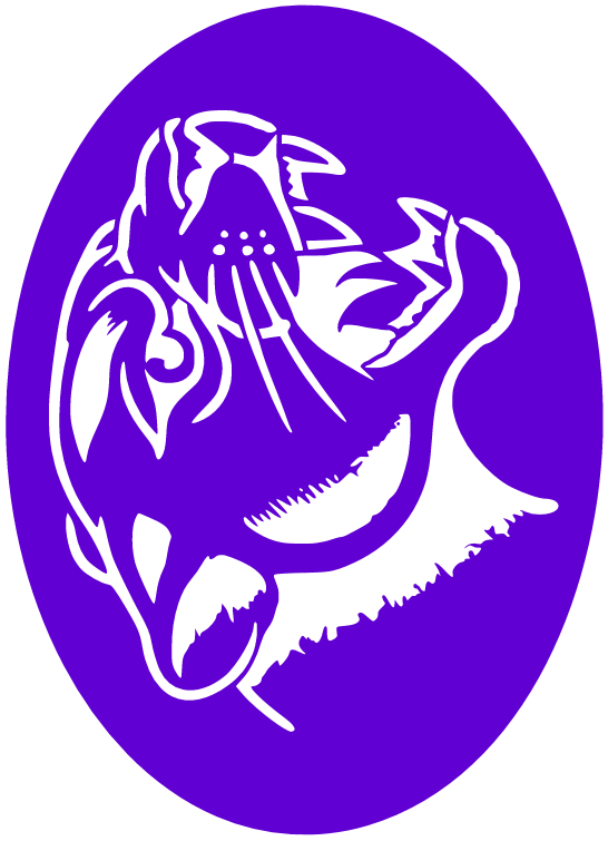 CS013 - Panther Roaring Old School Airtattoo Stencil